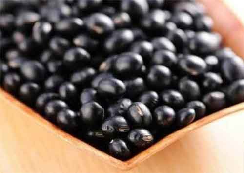 Đậu đen rất giàu vitamin E
